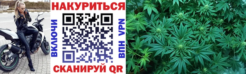 Бошки марихуана OG Kush  Ульяновск 